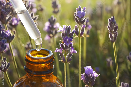 Dropper with lavender essential oil over bottle in blooming field, closeup. Space for text photo