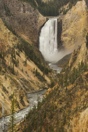 USA  Wyoming  Lower Falls Yellowstone National Park