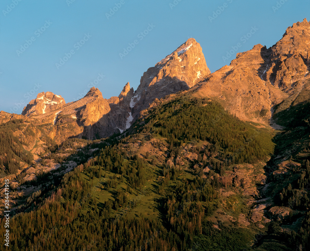 USA, Wyoming, Grand Teton NP. Forests reach almost to the flanks of the Grand Tetons in Grand Teton National Park, Wyoming.