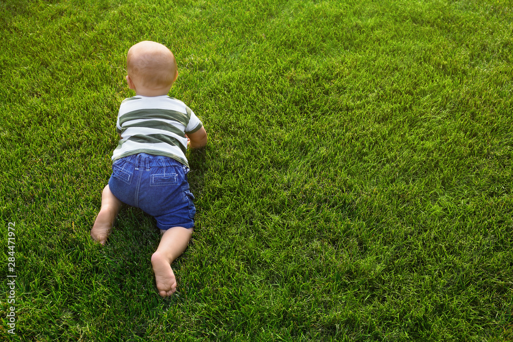 Adorable little baby crawling on green grass outdoors Adorable little baby crawling on green grass outdoors
