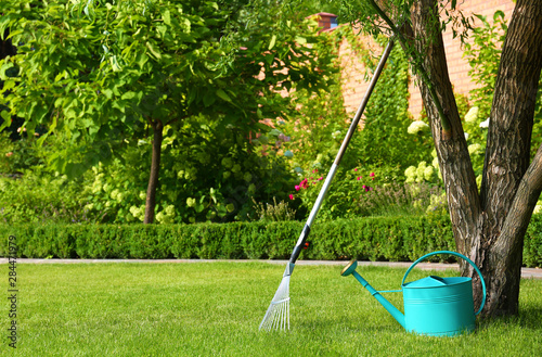 Vászonkép Rake and watering can near tree on green lawn. Gardening tools