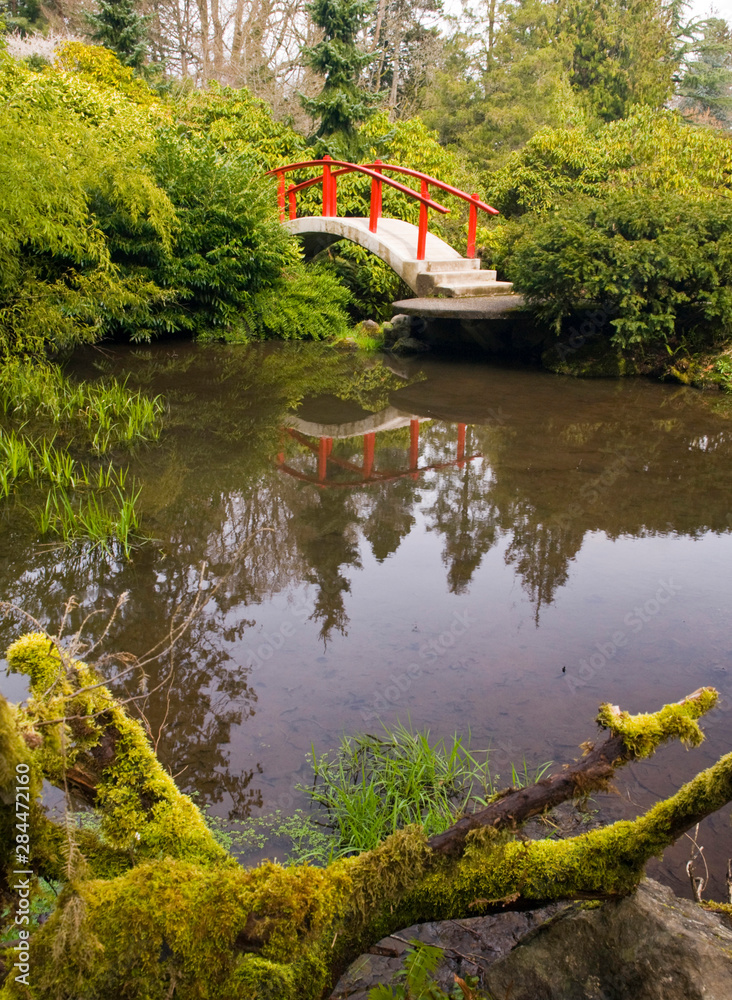 USA, WA, Seattle. Kubota Gardens moon bridge in early spring. The brochure explains the moon bridge symbolizes the difficulty of living a good life Hard to walk up and hard to walk down