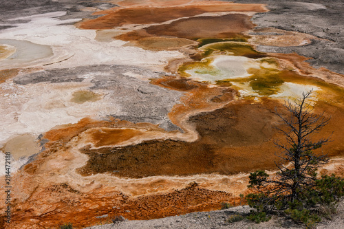 Colorful sediments. Yellowstone National Park. Wyoming.