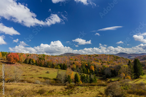 Autumn color in rural valley in Randolph County  West Virginia  USA