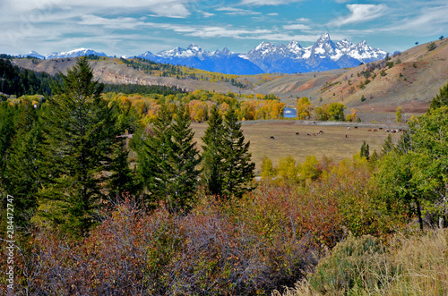 The Grand Tetons seen from the Gros Ventre valley in autumn photo