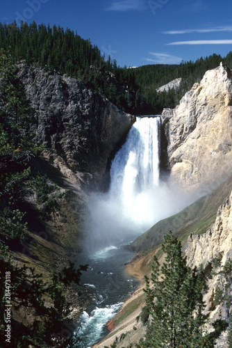 Lower Falls  Yellowstone National Park  Wyoming  USA