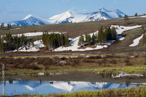 Swan Lake Flats, Yellowstone photo