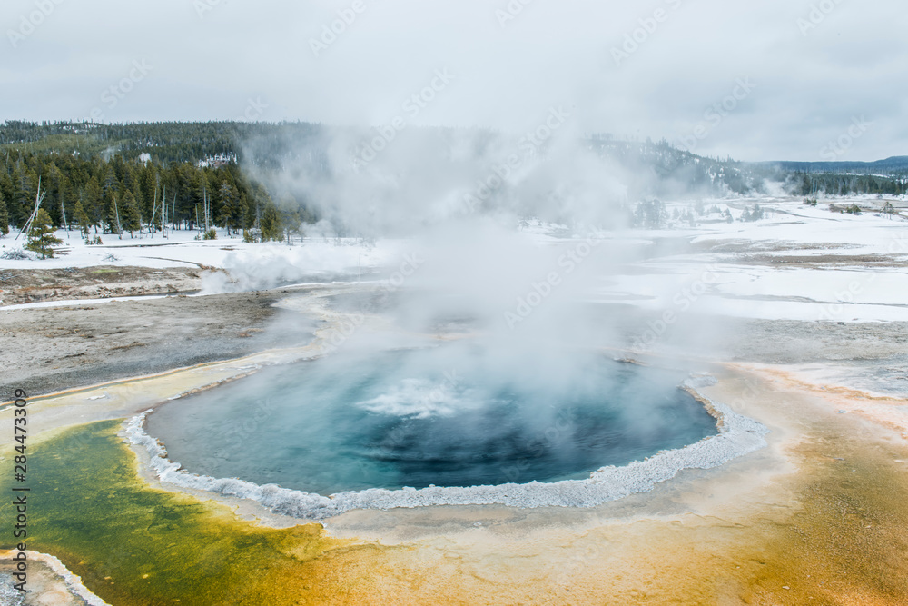 USA, Wyoming, Yellowstone National Park, Crested Pool USA, Wyoming, Yellowstone National Park, Crested Pool