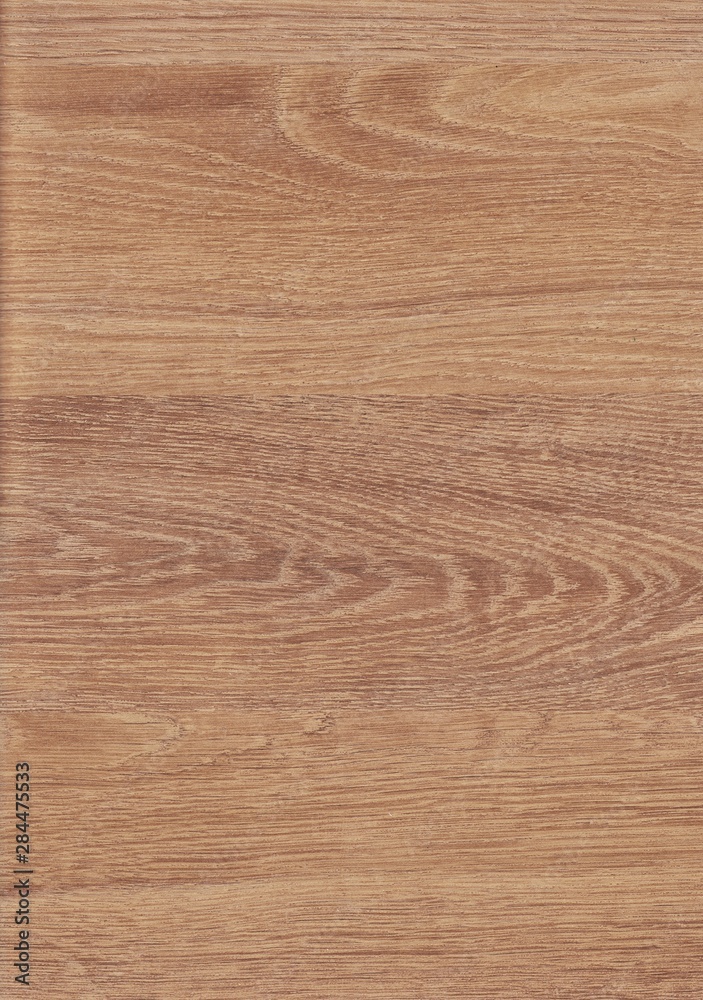 A fragment of a wooden panel hardwood. Oak. Design for floors, houses and cottages