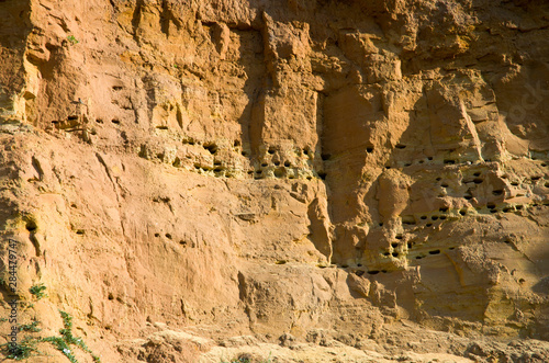 Texture of the clay-sand bluff wall.