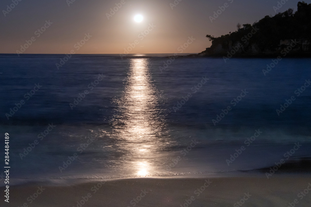 Moonlight Seascape