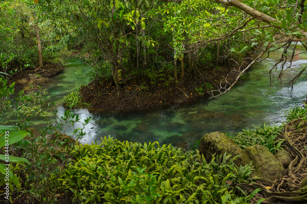 Pristine and tranquil mangrove swamp of Tha Pom Khlong Song Nam in Krabi, Thailand Pristine and tranquil mangrove swamp of Tha Pom Khlong Song Nam in Krabi, Thailand