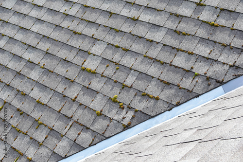Wallpaper Mural Different two parts of grey bitumen asphalt shingles roof one part overgrown with green moss other clean. Torontodigital.ca