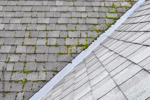 Different two parts of grey bitumen asphalt shingles roof one part overgrown with green moss other clean.