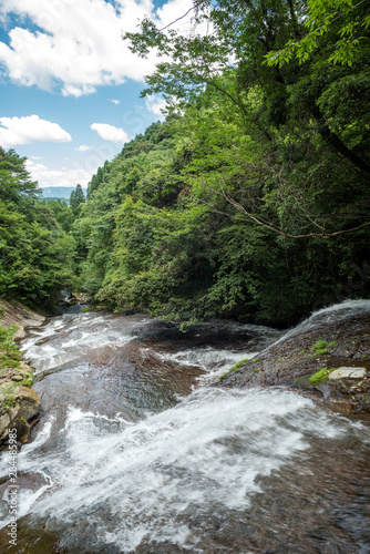 緑の森と布の滝の流れ