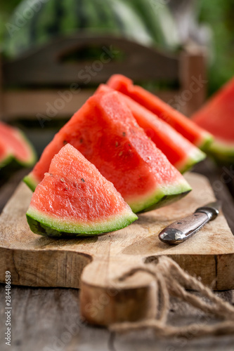 Delicious and tasty watermelon in sunny garden photo