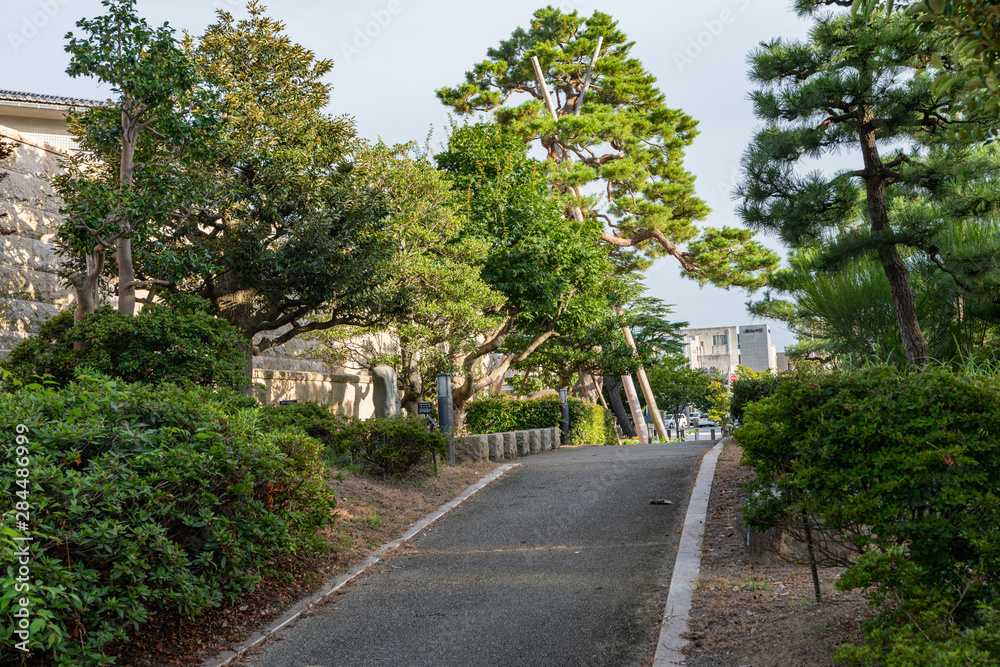 市立図書館の庭