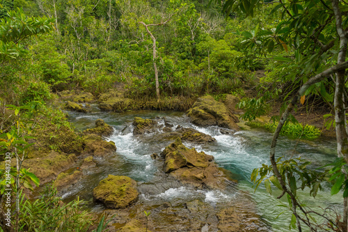 Pristine and tranquil mangrove swamp of Tha Pom Khlong Song Nam in Krabi, Thailand 