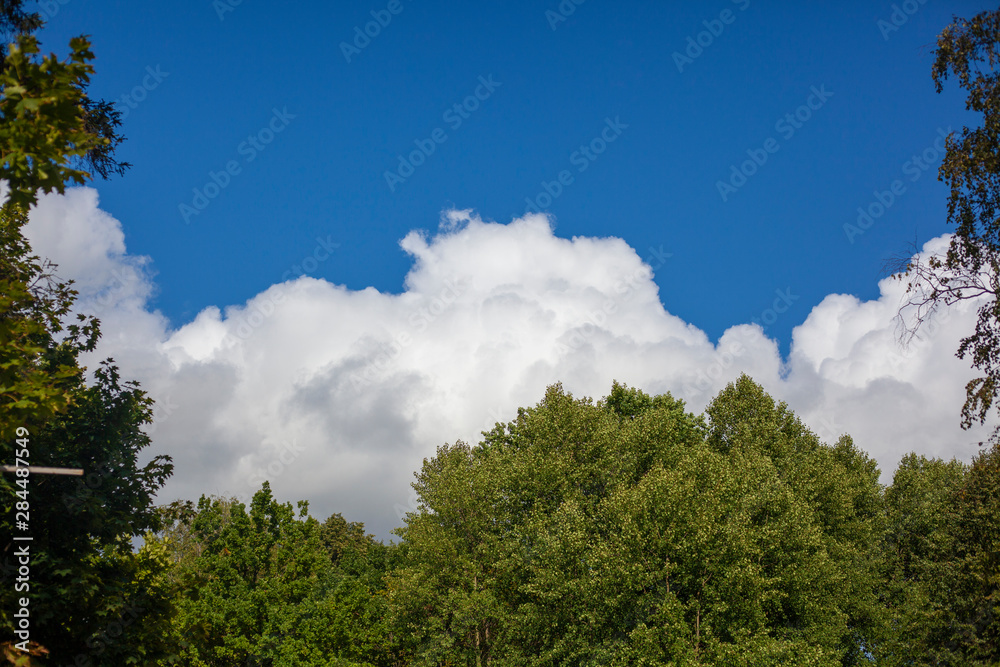 Cloud over the forest. View of the forest. Blue sky with a white cloud. Cloud over the forest. View of the forest. Blue sky with a white cloud.