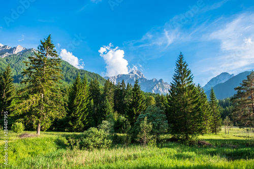 Summer has arrived in the italian alps