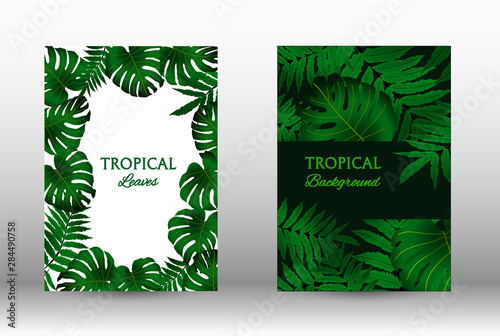 A set of tropic