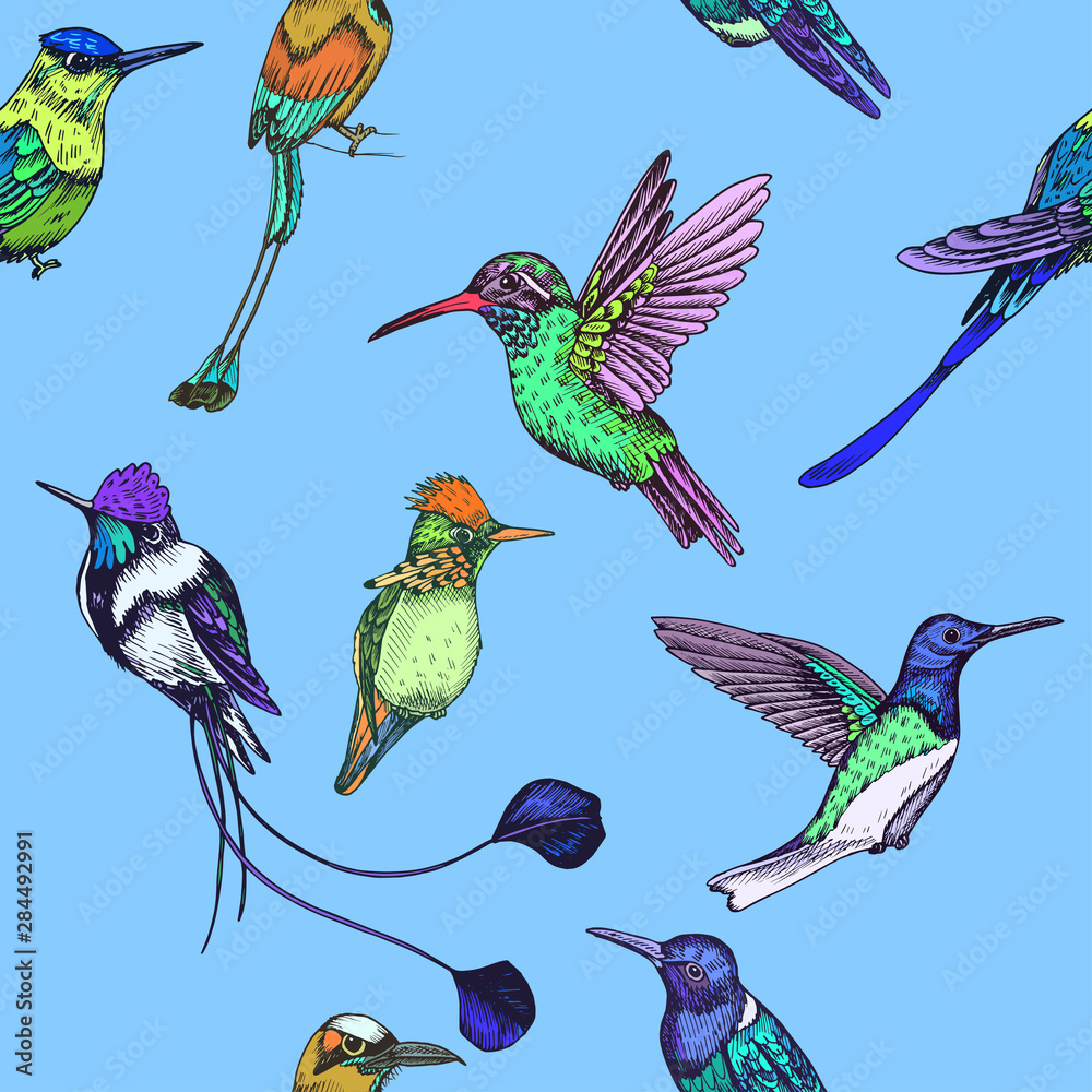Obraz premium Sketch hand drawn pattern with hummingbird. Animals illustration colibri birds.