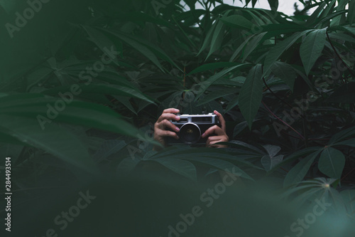 Old camera in cassava farm in dark green tone