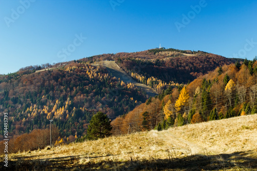 Jaworzyna Mountain (1114 msl) in Beskids late autumn at sunrise © ffolas