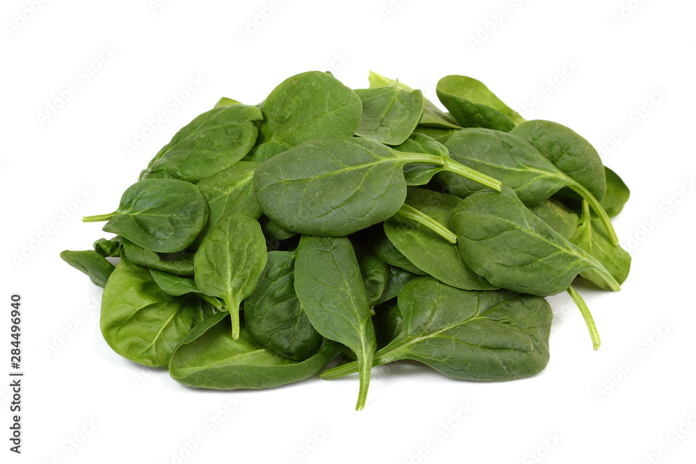 fresh spinach leaves on white background fresh spinach leaves on white background
