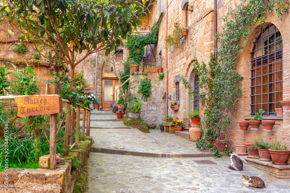 Fototapeta premium Piękna aleja w Toskanii, Stare Miasto, Włochy
