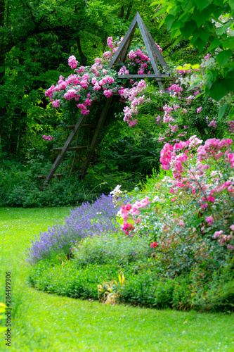 Quadro su tela Idyllic rose garden