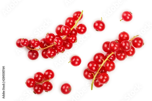 Wallpaper Mural Red currant berry isolated on white background
