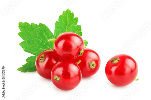 Canvas Print Red currant berries with leaf isolated on white background
