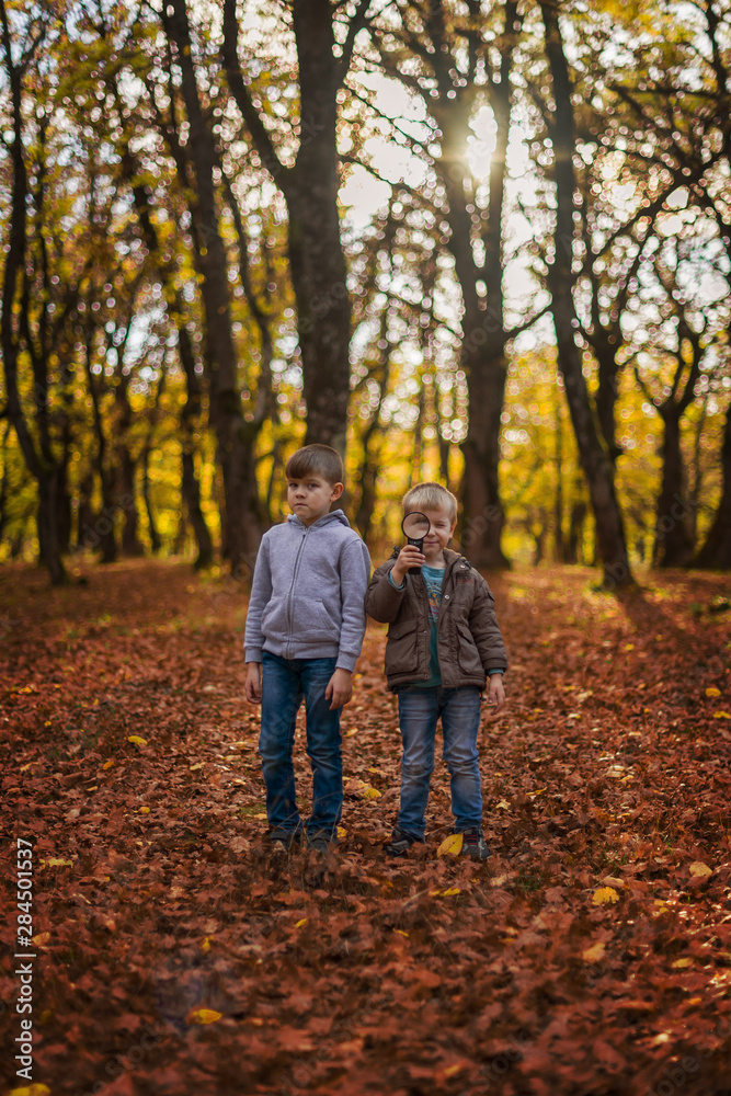 two brothers in the autumn forest