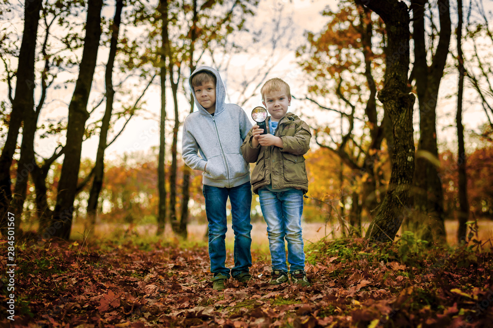 Obraz premium two brothers in the autumn forest