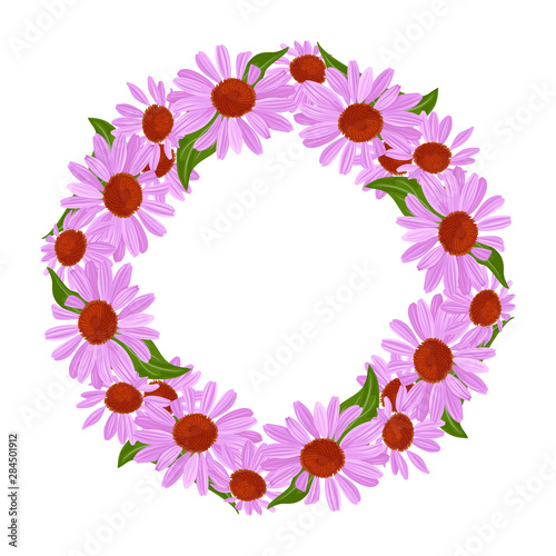 Echinacea wreath isolated on white background. Round frame, border from purple cartoon flowers. Vector illustration of flower garland in simple flat style.