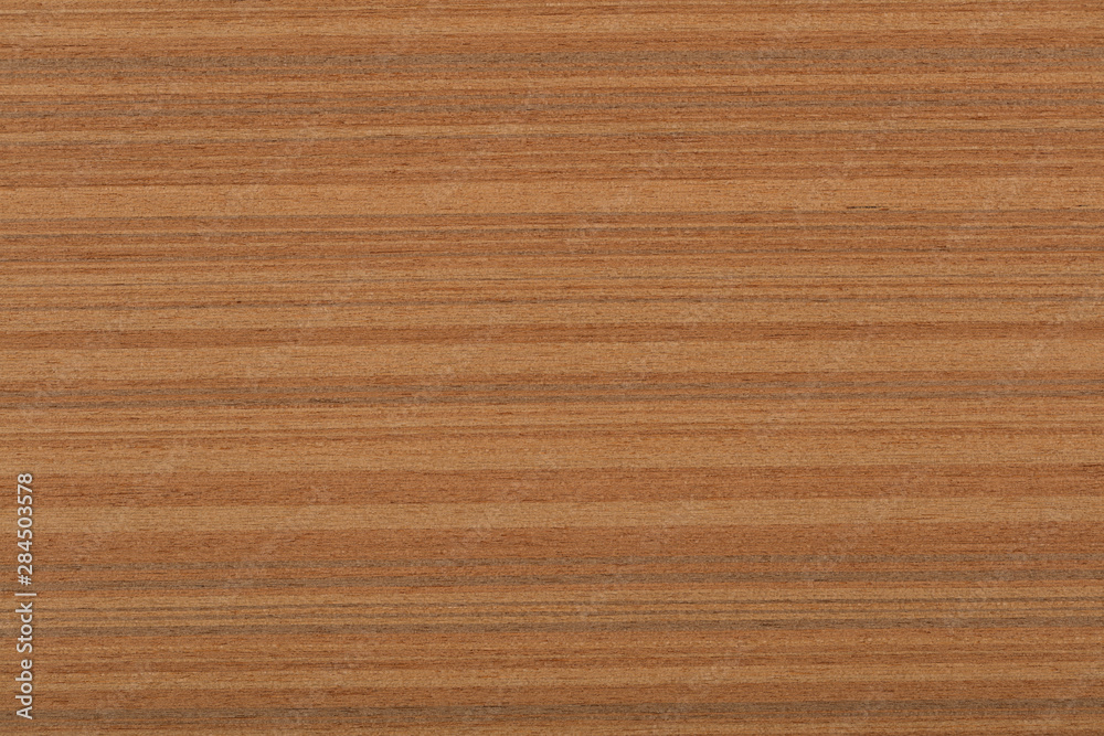 Beautiful brown teak veneer background for your interior. High quality texture in extremely high resolution. 50 megapixels photo.