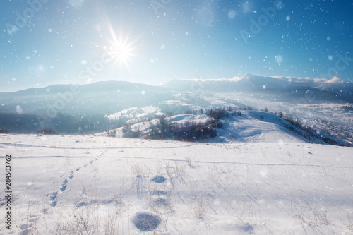 Christmas winter background with snow and blurred bokeh © Nickolay Khoroshkov