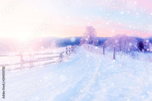 Christmas winter background with snow and blurred bokeh