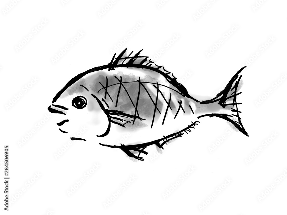 鯛 魚 魚介類 メデタイ お正月 手書き 筆書き 手描き めでたい めで鯛 墨絵 縁起物 赤 魚 Stock Illustration Adobe Stock