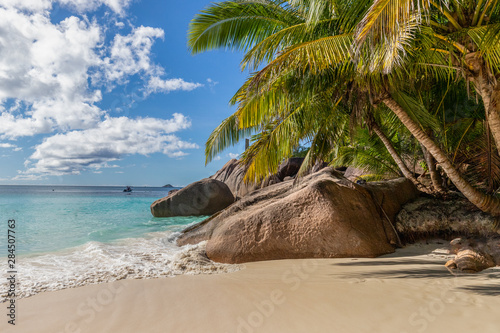 Paradise beach with white sand  palms  rocks  turqoise water on Seychelles island Praslin