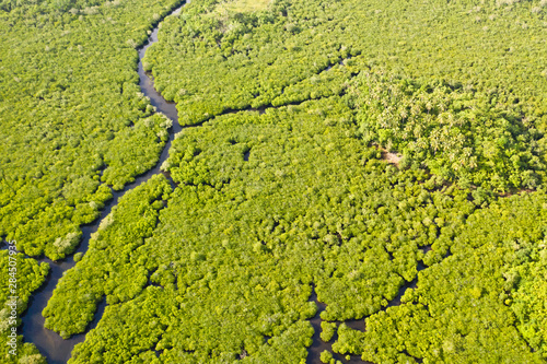 Mangroves with rivers in the Philippines. Tropical landscape with mangroves and islands. Coast of the island of Siargao.