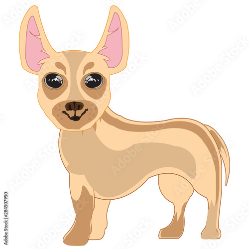 Vector illustration of the small dog of the sort that terrier