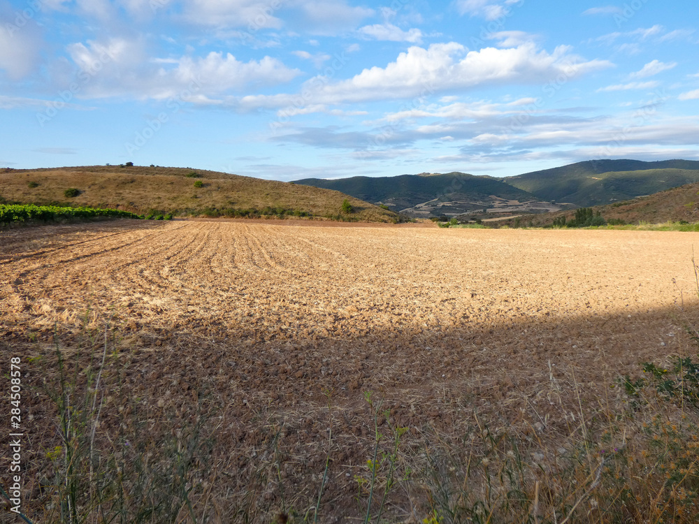 Campo preparado para la siembra en la comunidad de Navarra
