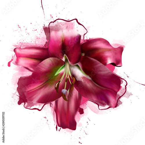 Transparent petals of a red Lily on a black background. With the spray paint. Bright expressive elegant delightful beautiful airy artistic image of nature