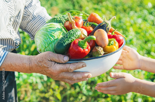 Child and grandmother in the garden with vegetables in their hands. Selective focus. photo