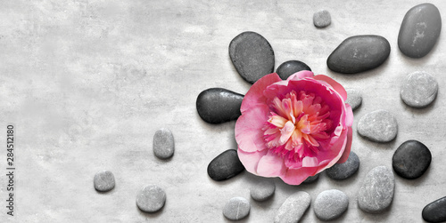 Flat lay composition with spa stones, pion pink flower on grey background.