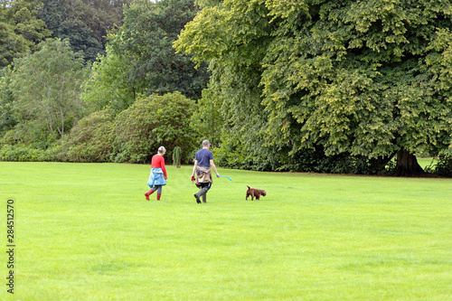Man woman dog walkers walking brown spaniel dog UK public park