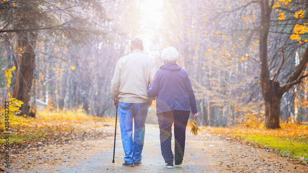 Senior couple walking in an autumn park.