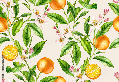Orange fruit branches. Seamless pattern with flowers realistic botanical floral illustration on light beige background hand painted  © Kateryna